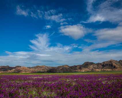 Zentralmongolei Zentralmongolei