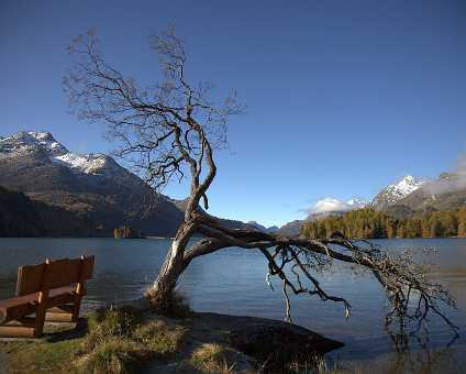 Silsersee