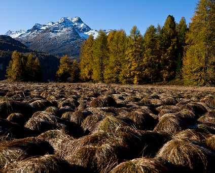 _MG_3284 (2014_11_10 10_52_44 UTC) Engadin